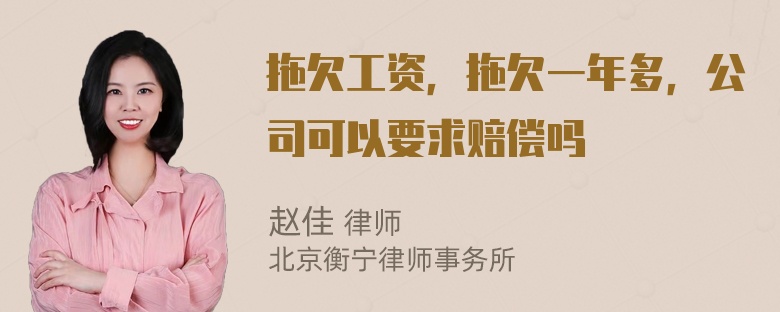 拖欠工资，拖欠一年多，公司可以要求赔偿吗