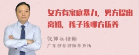 女方有家庭暴力，男方提出离婚，孩子该哪方抚养