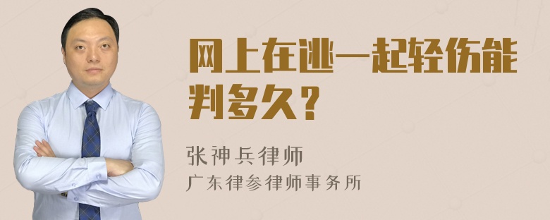 网上在逃一起轻伤能判多久？