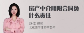 房产中介阴阳合同负什么责任