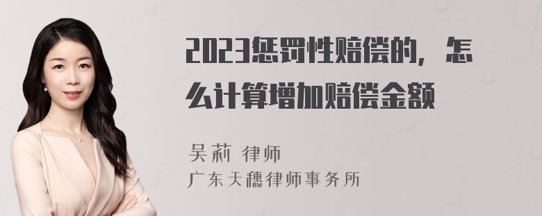 2023惩罚性赔偿的，怎么计算增加赔偿金额