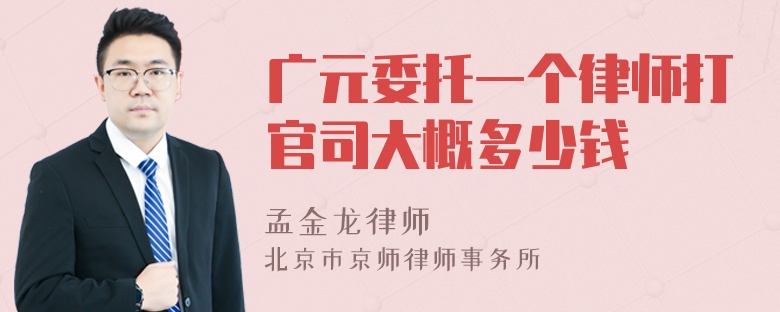 广元委托一个律师打官司大概多少钱