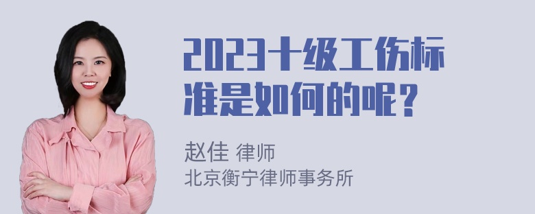 2023十级工伤标准是如何的呢？