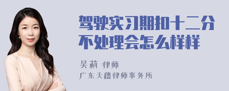 驾驶实习期扣十二分不处理会怎么样样