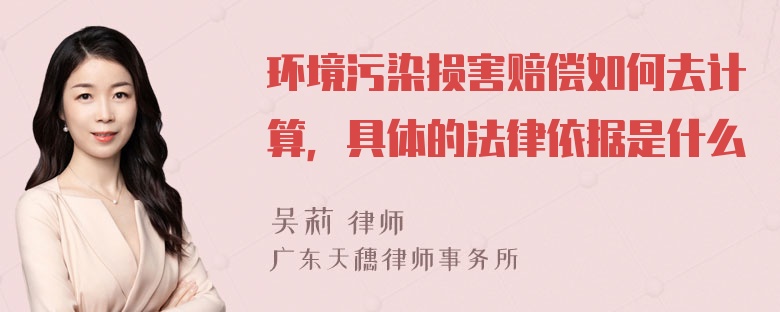 环境污染损害赔偿如何去计算，具体的法律依据是什么