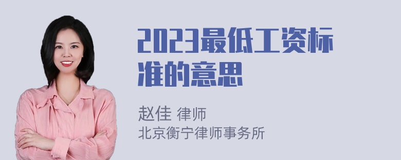 2023最低工资标准的意思