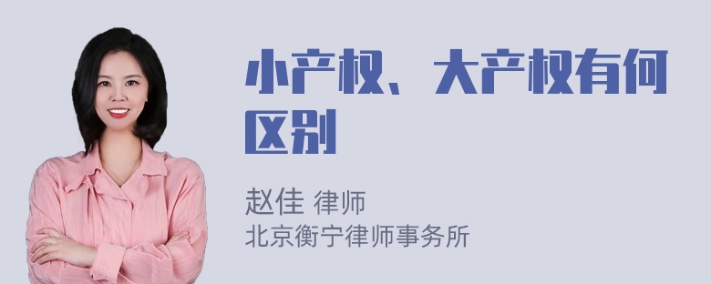 小产权、大产权有何区别