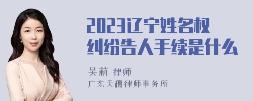 2023辽宁姓名权纠纷告人手续是什么