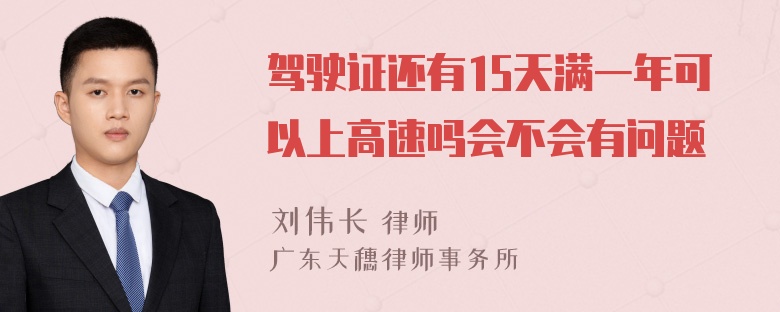 驾驶证还有15天满一年可以上高速吗会不会有问题