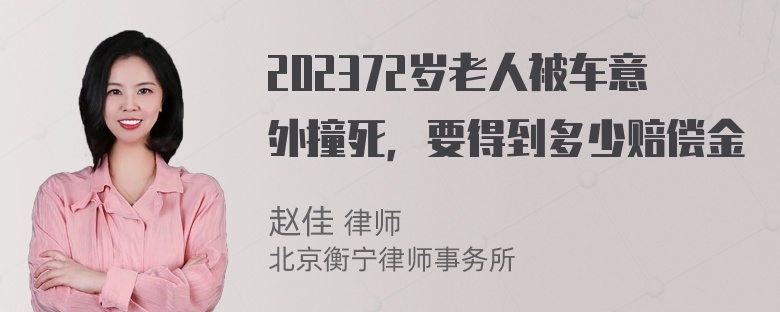 202372岁老人被车意外撞死，要得到多少赔偿金