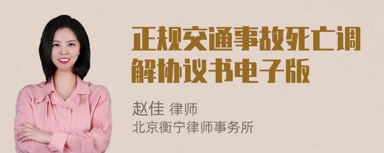 正规交通事故死亡调解协议书电子版