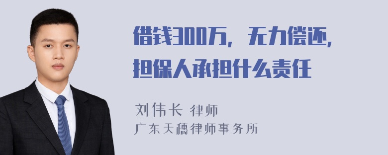 借钱300万，无力偿还，担保人承担什么责任