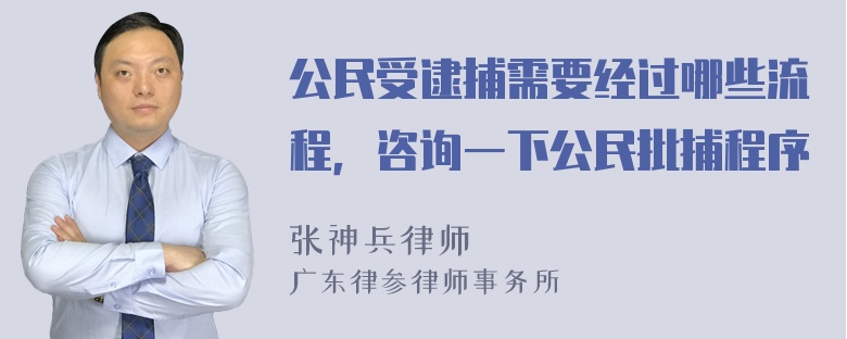 公民受逮捕需要经过哪些流程，咨询一下公民批捕程序