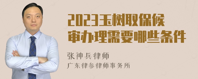 2023玉树取保候审办理需要哪些条件