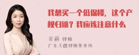 我想买一个低保楼，这个产权归谁？我应该注意什么