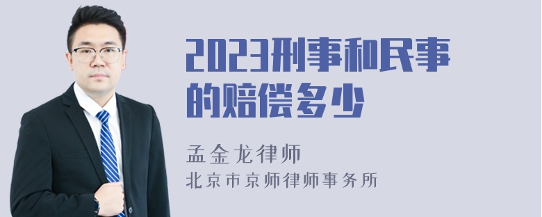 2023刑事和民事的赔偿多少