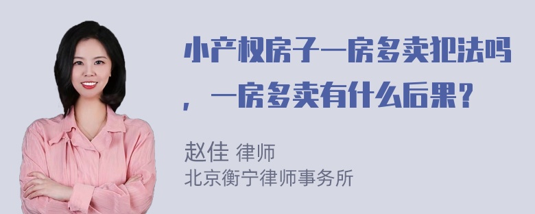 小产权房子一房多卖犯法吗，一房多卖有什么后果？