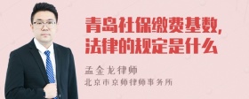 青岛社保缴费基数,法律的规定是什么