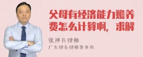 父母有经济能力赡养费怎么计算啊，求解