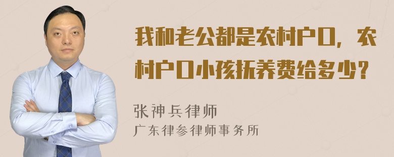 我和老公都是农村户口，农村户口小孩抚养费给多少？