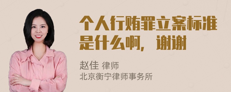 个人行贿罪立案标准是什么啊，谢谢