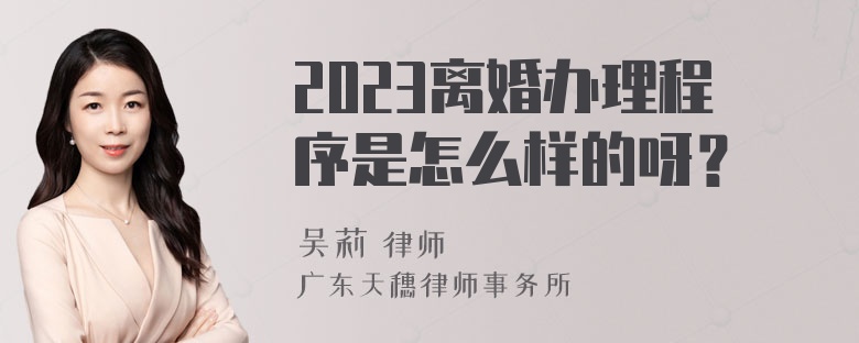 2023离婚办理程序是怎么样的呀？