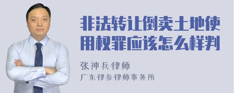 非法转让倒卖土地使用权罪应该怎么样判