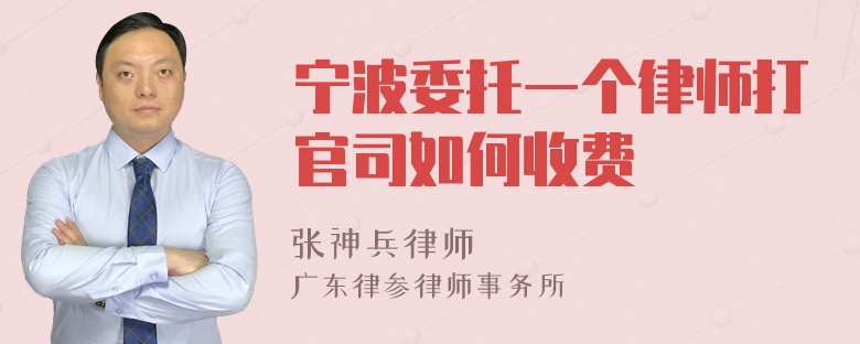 宁波委托一个律师打官司如何收费