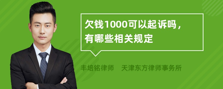 欠钱1000可以起诉吗，有哪些相关规定