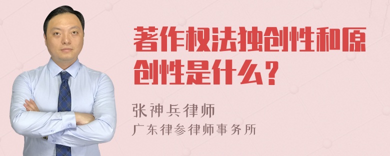 著作权法独创性和原创性是什么？