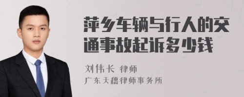 萍乡车辆与行人的交通事故起诉多少钱