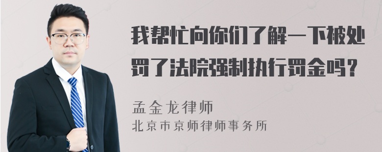 我帮忙向你们了解一下被处罚了法院强制执行罚金吗？