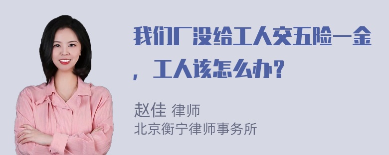 我们厂没给工人交五险一金，工人该怎么办？