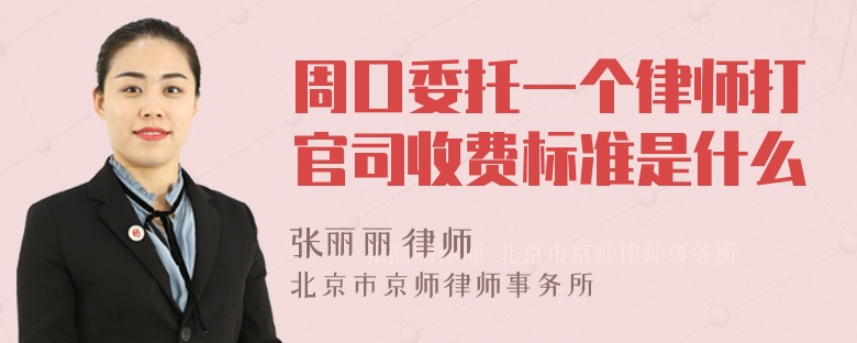 周口委托一个律师打官司收费标准是什么