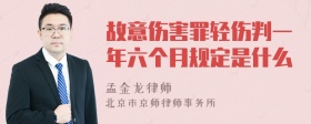 故意伤害罪轻伤判一年六个月规定是什么