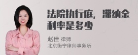 法院执行庭，滞纳金利率是多少