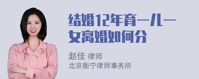 结婚12年育一儿一女离婚如何分