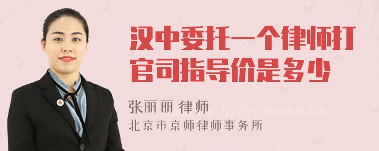 汉中委托一个律师打官司指导价是多少