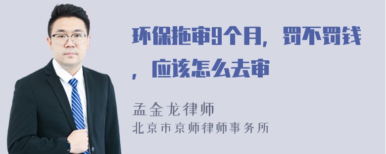 环保拖审9个月，罚不罚钱，应该怎么去审