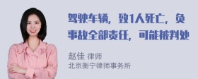 驾驶车辆，致1人死亡，负事故全部责任，可能被判处