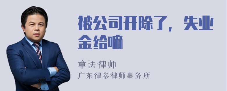 被公司开除了，失业金给嘛