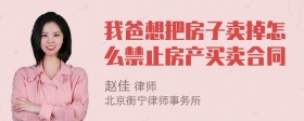 我爸想把房子卖掉怎么禁止房产买卖合同