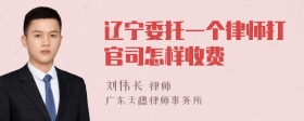 辽宁委托一个律师打官司怎样收费