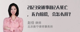 2023交通事故2人死亡，无力赔偿，会怎么样？