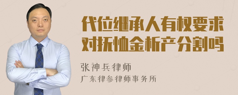 代位继承人有权要求对抚恤金析产分割吗