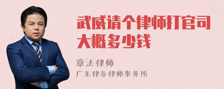 武威请个律师打官司大概多少钱