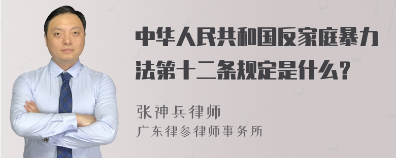 中华人民共和国反家庭暴力法第十二条规定是什么？