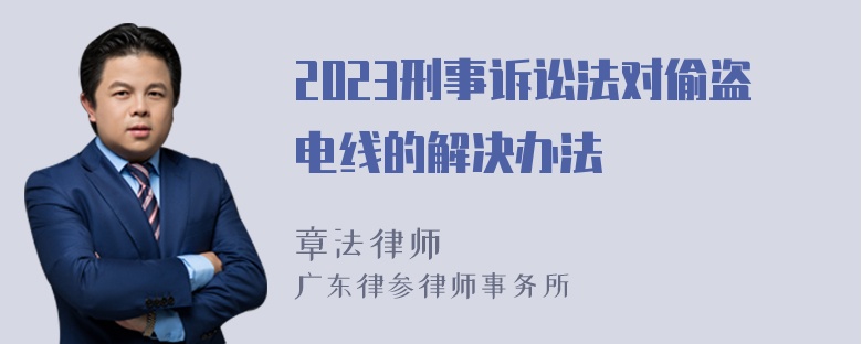 2023刑事诉讼法对偷盗电线的解决办法
