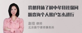 我想具体了解中牟县社保问题查询个人账户怎么进行