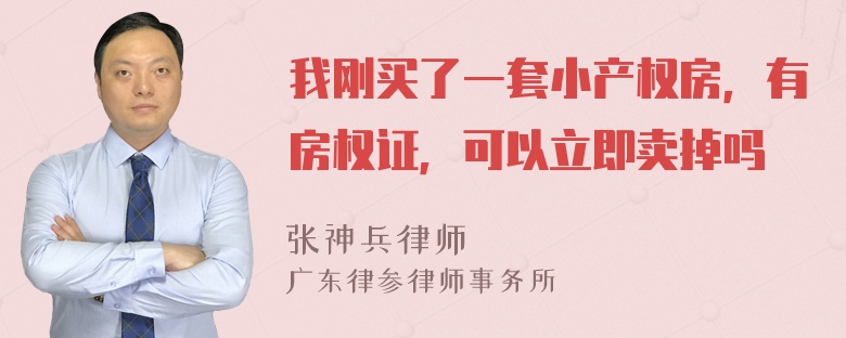 我刚买了一套小产权房，有房权证，可以立即卖掉吗